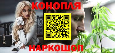 гашик Тара