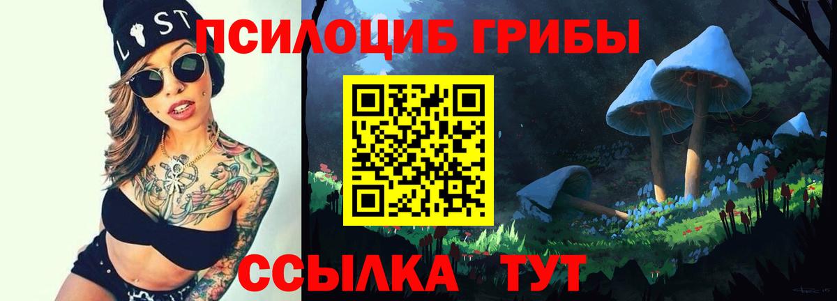 Псилоцибиновые грибы ЛСД Советский